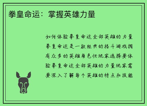 拳皇命运：掌握英雄力量